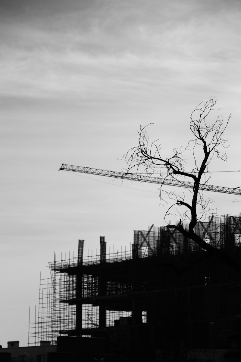 a black and white photo of a building under construction